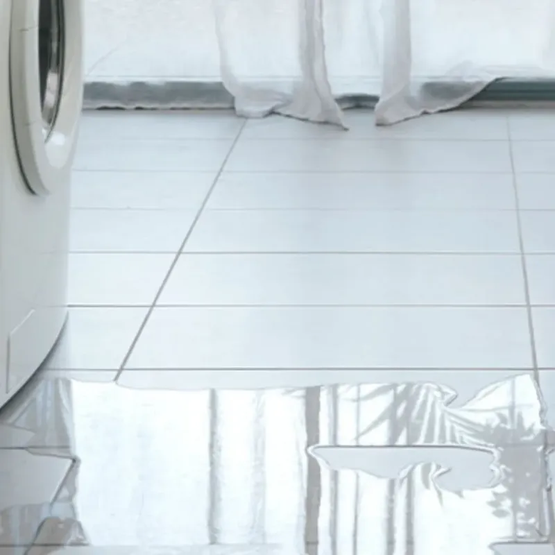 Appliance Leak Cleanup in Cologne, MN