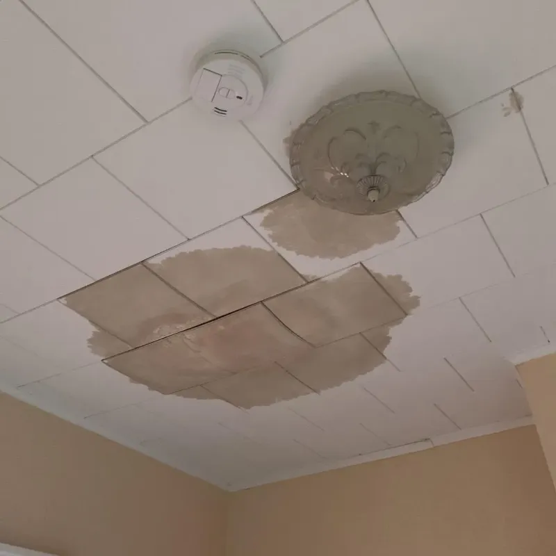 Ceiling Water Damage Repair in Cologne, MN